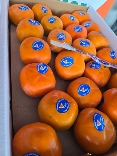 Aust Persimmon (4 per set) 