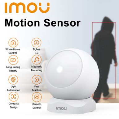 Motion Sensor
