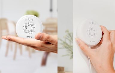 Gas Detector
