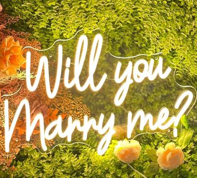 Will You Marry Me Neon Sign