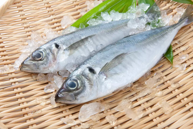 Silivi (Chinchard) - 1kg