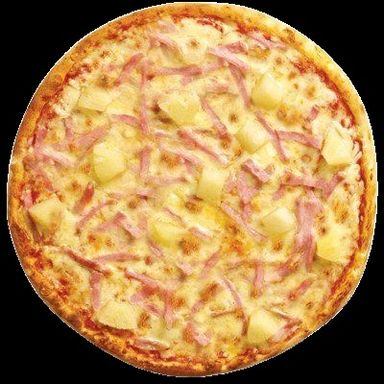 Double Cheese Pizza M
