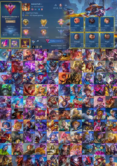 [Exalted V] 268 Skins | YSS Collector | KOF GS