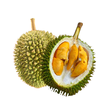 【D208】Creamy Sweet Kang Hai Durian