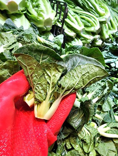 白菜仔🥦（斤）