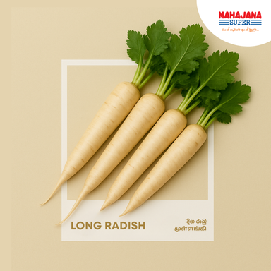 Long Radish