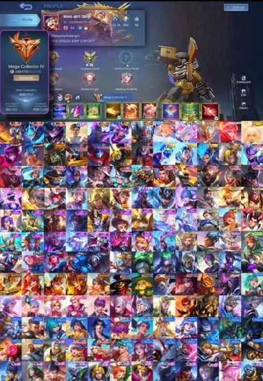 [CHEAP MEGA 4] 455 Skins