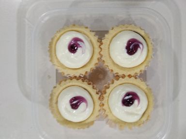 Tart Cheese Blueberry