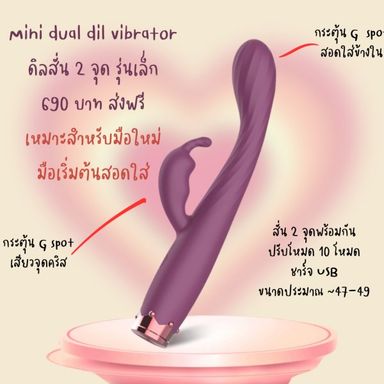 ดิลสั่น 2 จุด mini