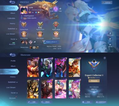 [MAX HERO + EMBLEM] 165 Skins