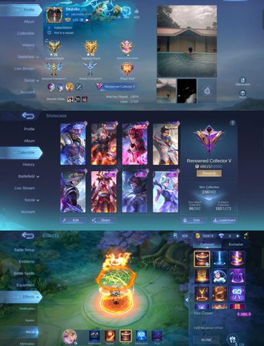 [MAX HERO + EMBLEM] 238 Skins