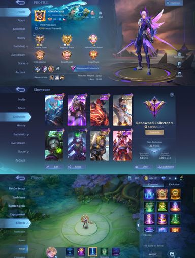 [MAX HERO + EMBLEM] 217 Skins