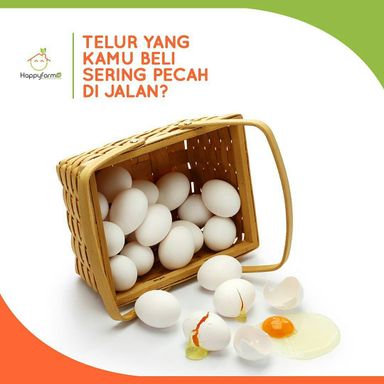 60 Telur Kampung Box