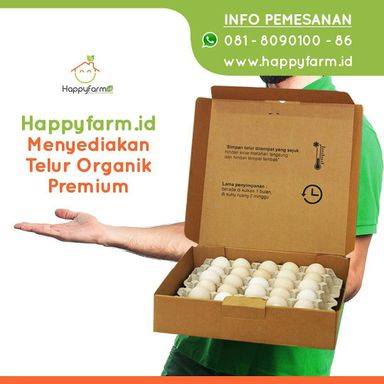 60 Telur Kampung Box