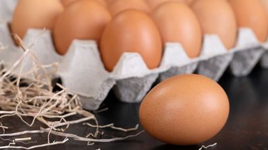 60 Telur Negeri