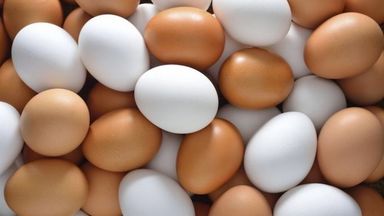 Telur Mix 30