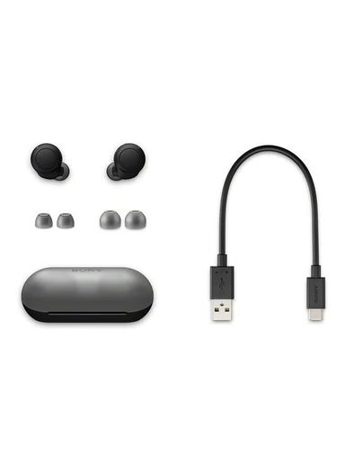 Sony WF-C500 True Wireless Headphones - Up To 20 Hours Battery Life With Charging Case - Voice Assistant Compatible - Built-In Mic For Phone Calls - Reliable Bluetooth Connection - Black