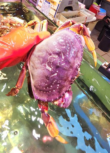 加拿大珍寶蟹🦀（隻）（約1斤6~8兩）