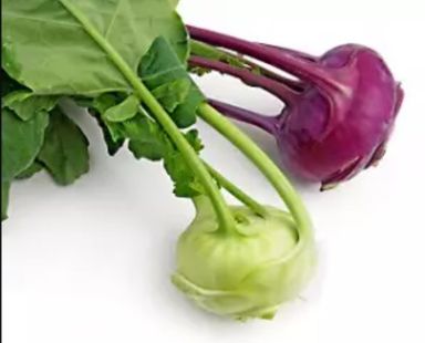 Koolrabi