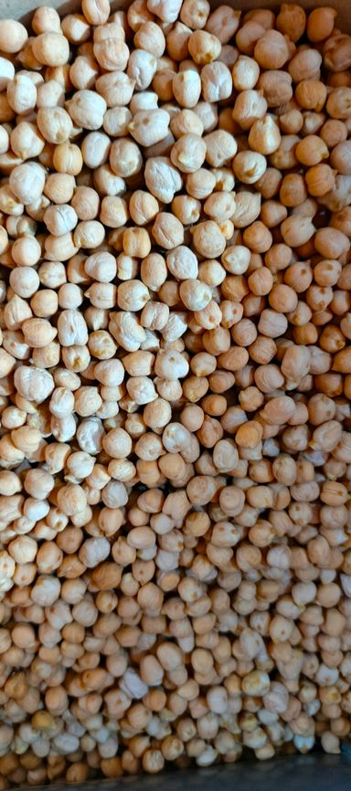 Chick Peas