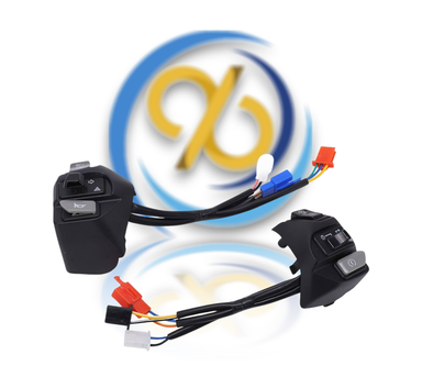 DOUBLE SIGNAL SWITCH