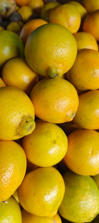 Minora Oranges.(Approx 7Pcs) Per Kg