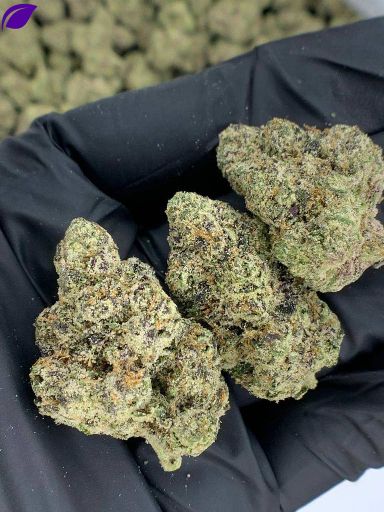 Bubble Gum Runtz 18-45% THCA Flower APE