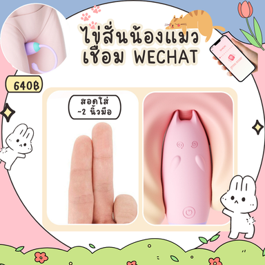 ไข่สั่นน้องแมวเหมียว แอพ wechat