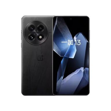 One plus 13