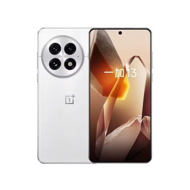 One plus 13