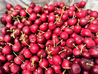 USA Red Cherry 