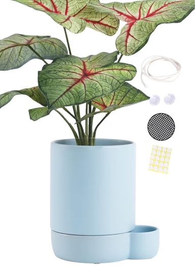 6" Ceramic Self-Watering Planter 