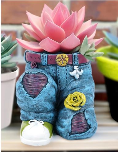 Exotic Flower Pot (Demin Pants)