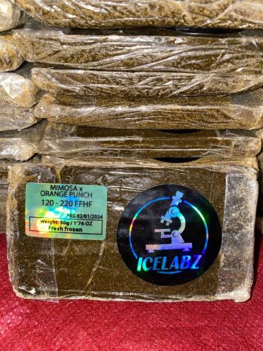 Ice Labz Hash