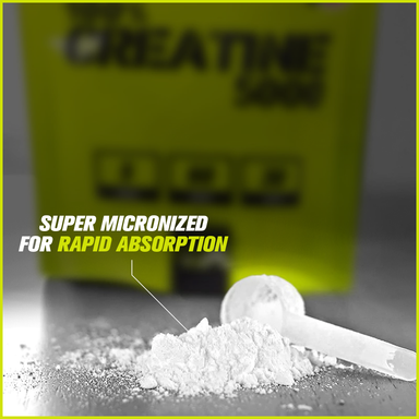 Vitaxtrong Creatine Monohydrate (500G) Super Micronized Powder, Muscle Strenght & Recovery, Halal [VX]  