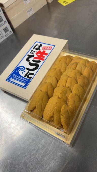 300g '羽立 Hadate' Ranked Murasaki Uni
