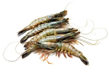 Breco Seafood Tiger Prawns H/O 13/15 800gr