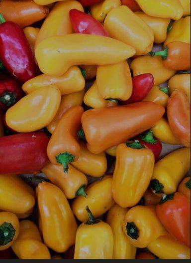 Sweet pepper mini