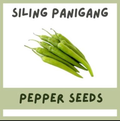 Sili Panigang - Hot 20 seeds 