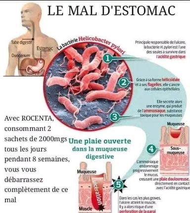  VIE Foundation - Working   Gagnez des revenus tout en aidant à sauver des vies !