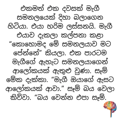 S14 - මායා ඇස (ඇස)
