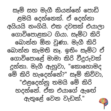 S12 - කිරි බොන්නැති මැගී