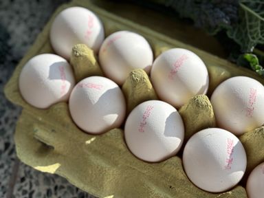 Biologische Eieren (10 stuks)