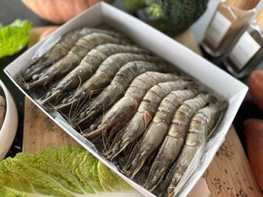 Gamba Ongepeld 16/20 ≈200GR