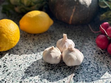 Knoflook Bio