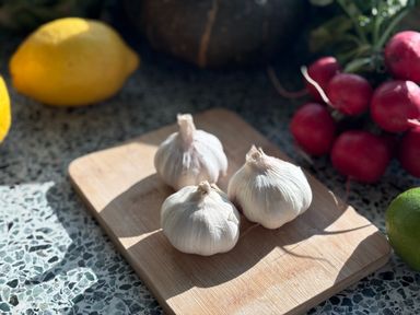 Knoflook Bio