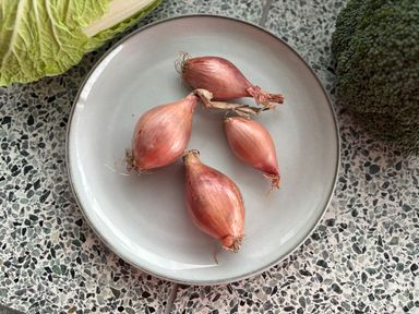 Sjalotten Bio