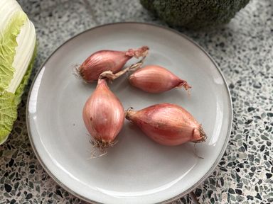 Sjalotten Bio