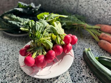 Radijs Bos Bio