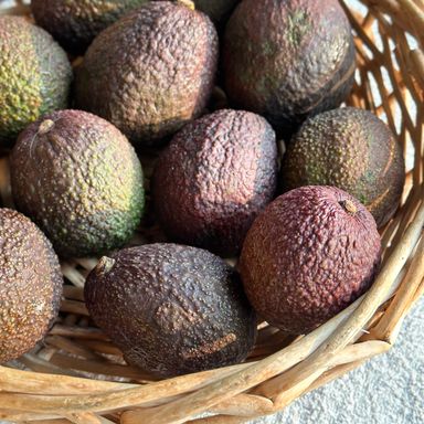 Avocado Bio